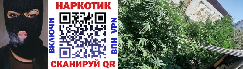 Купить Альфа ПВП МЕФ Каннабис Кадников