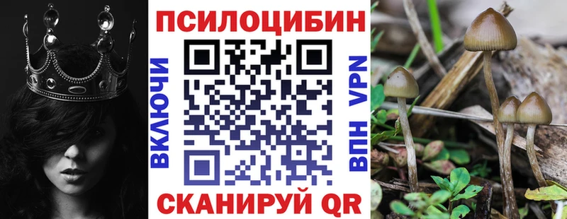 Галлюциногенные грибы Psilocybine cubensis Кадников