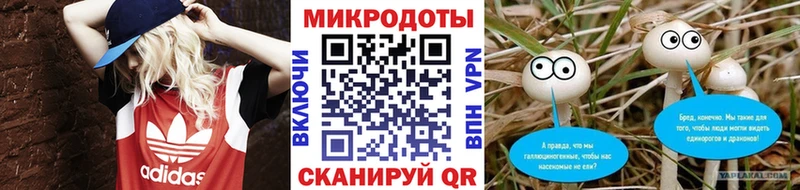 Купить закладки  Кадников  Галлюциногенные грибы MAGIC MUSHROOMS 